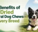 best dog chews
