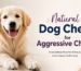 natural dog chews