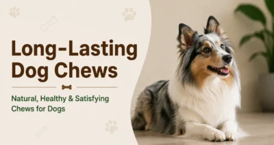 long lasting dog chews