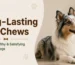 long lasting dog chews